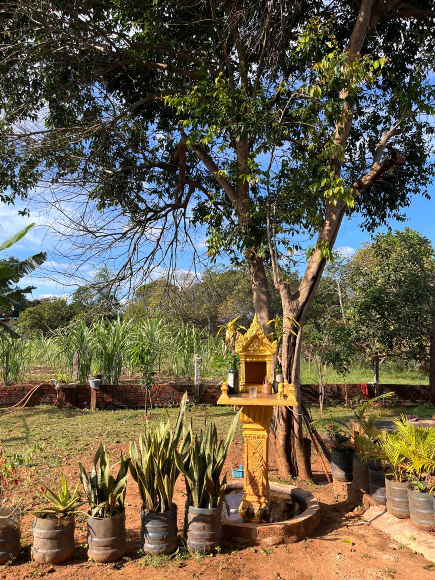 Ratanakiri Farmhouse & Trekking Banlung Kültér fotó
